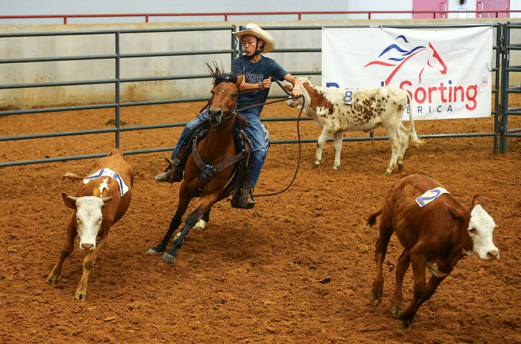 Ranch Sorting of America